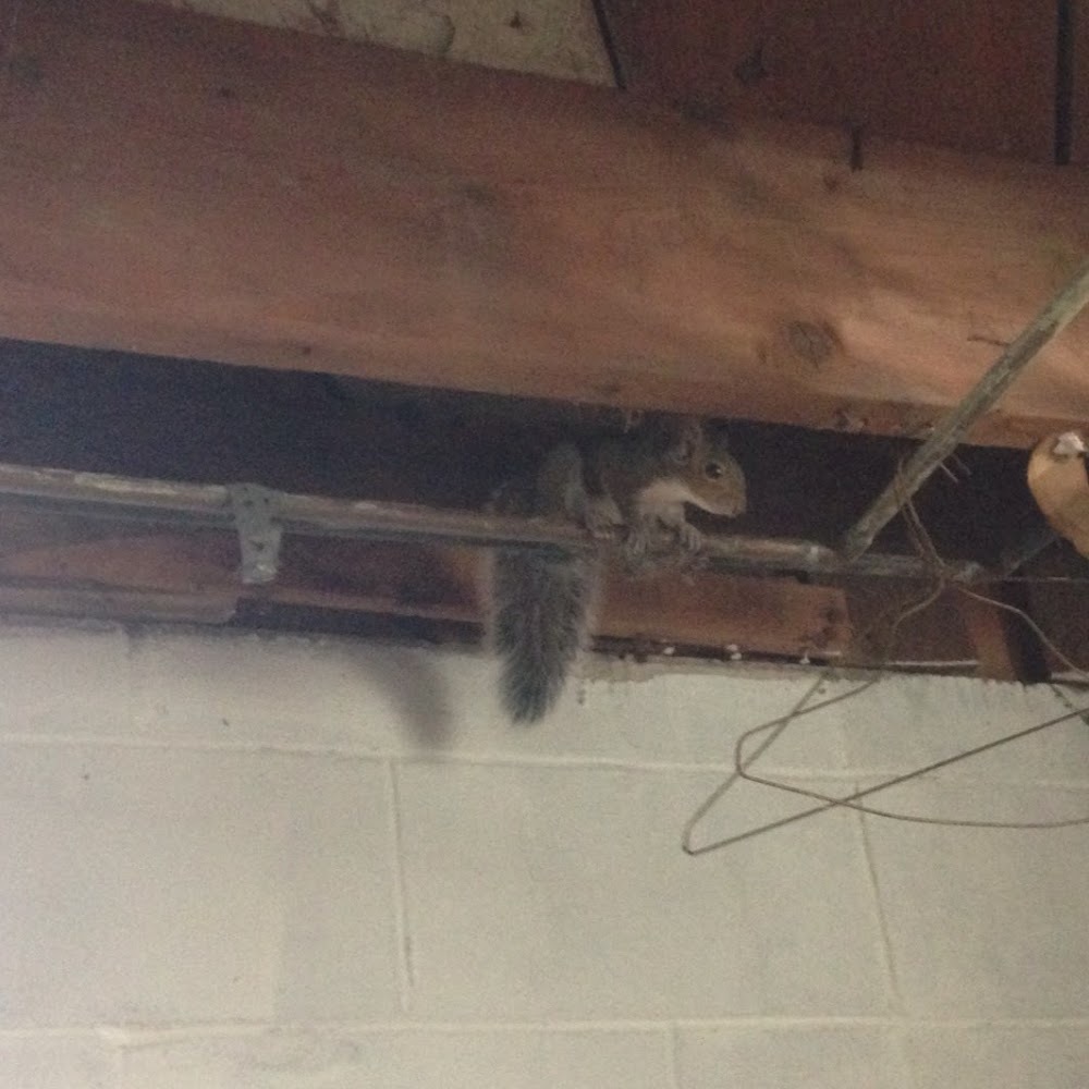 Meet your Posher, Jenette